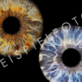 Irisfoto als Digitalbild