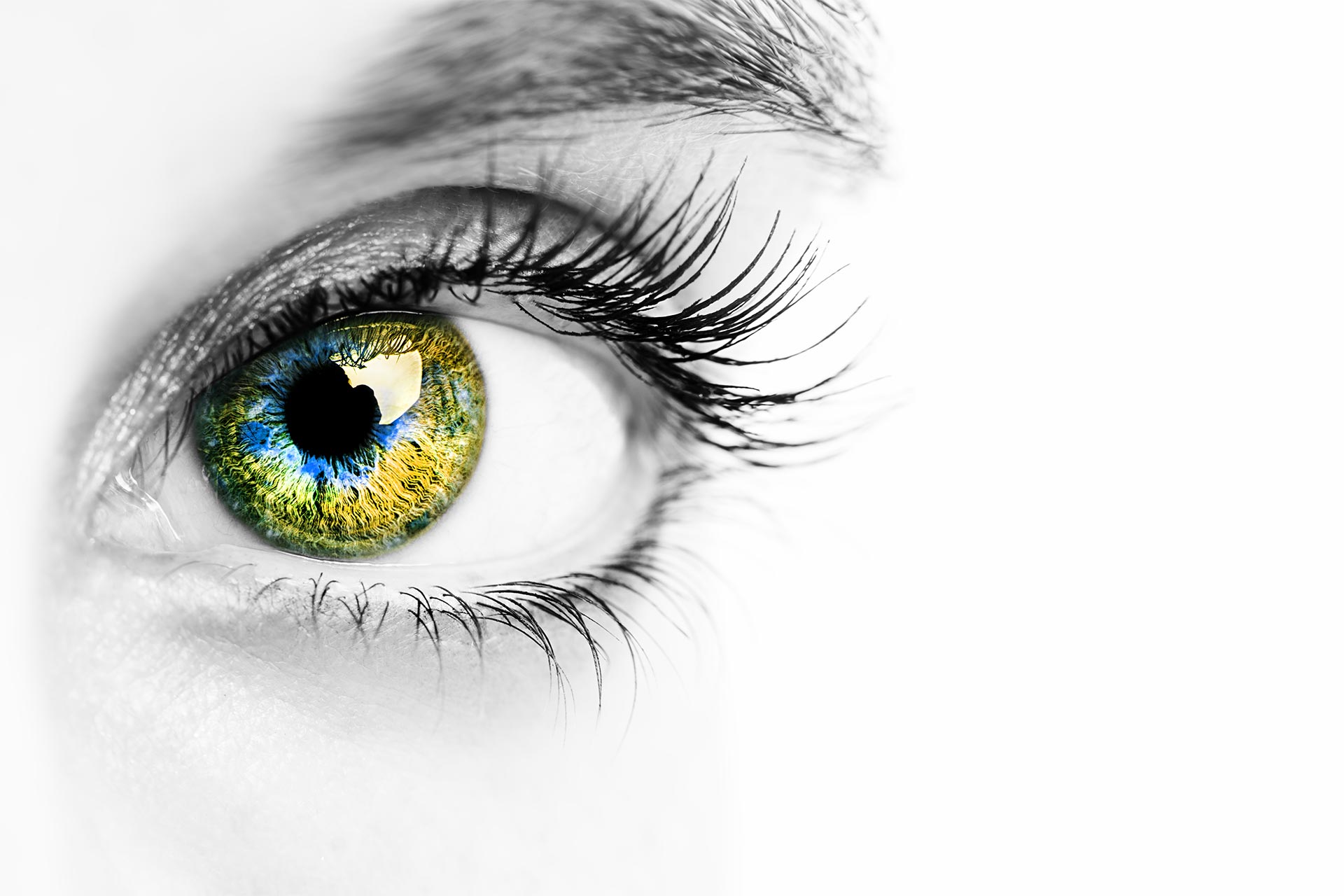 Irisfotografie.at | Dein Auge als einzigartiges Kunstwerk