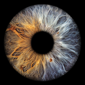 Irisfotografie.at | Dein Auge als einzigartiges Kunstwerk